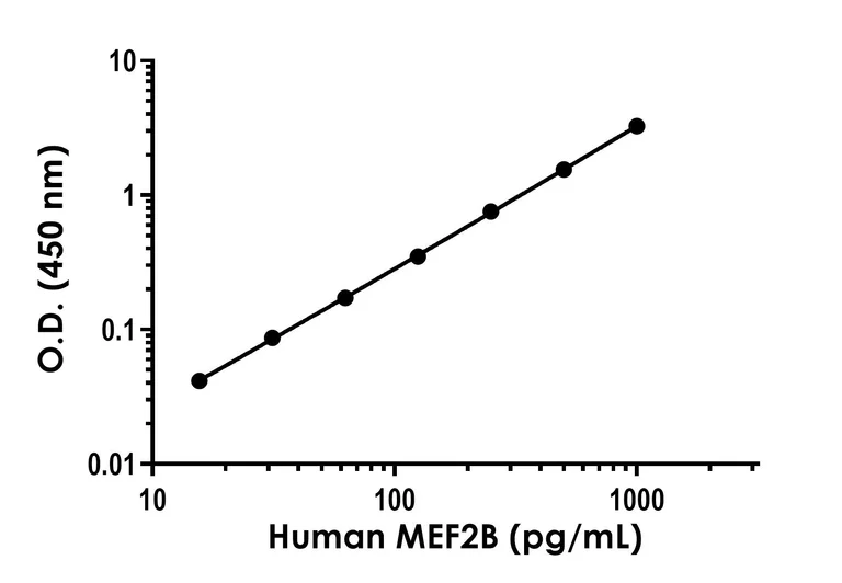 Sandwich ELISA - Human MEF2B ELISA Kit (AB315315)