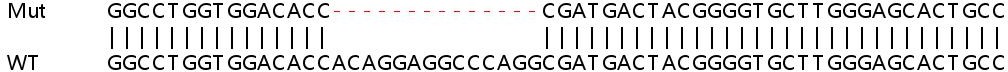 Sanger Sequencing - Human MEOX1 (MOX1) knockout HeLa cell lysate (AB258046), expandable thumbnail