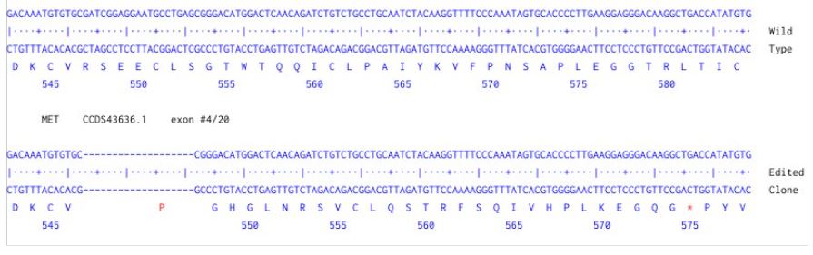 Next Generation Sequencing - Human MET knockout HCT116 cell line (AB286779), expandable thumbnail