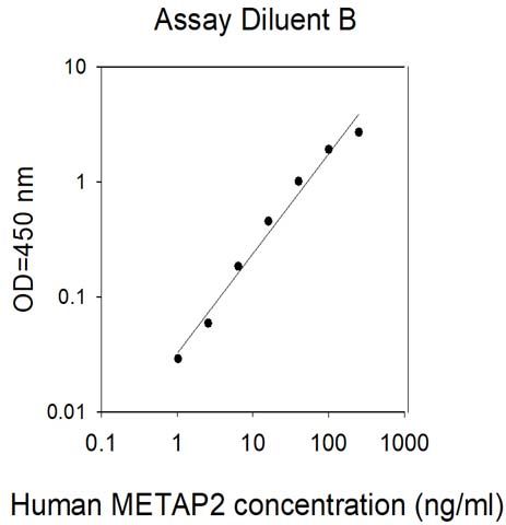 Sandwich ELISA - Human Methionine Aminopeptidase 2/p67 ELISA Kit (AB313992), expandable thumbnail