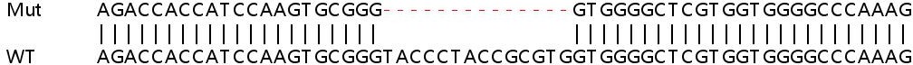 Sanger Sequencing - Human MEX3B knockout HEK-293T cell line (AB267234), expandable thumbnail