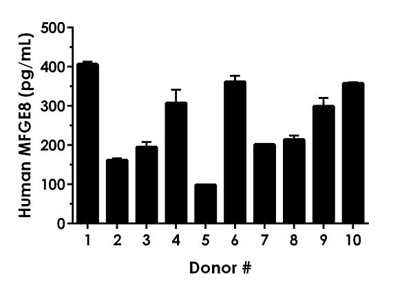 Sandwich ELISA - Human MFGE8 ELISA Kit (AB235638)