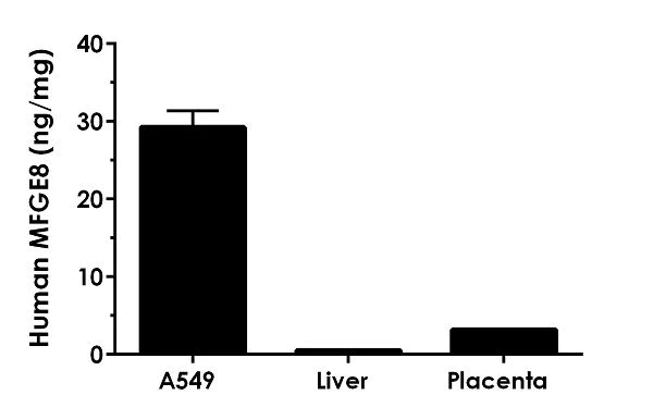 Sandwich ELISA - Human MFGE8 ELISA Kit (AB235638)