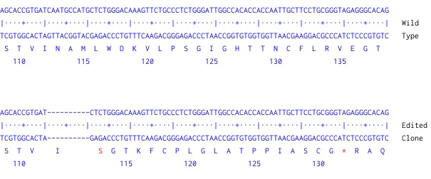 Next Generation Sequencing - Human MFN2 (Mitofusin 2) knockout HEK-293 cell line (AB260861)