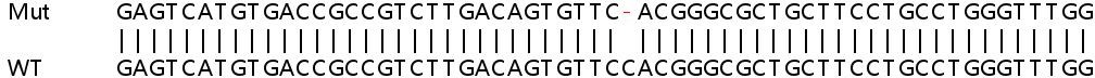 Sanger Sequencing - Human MFSD1 knockout HeLa cell line (AB265330)