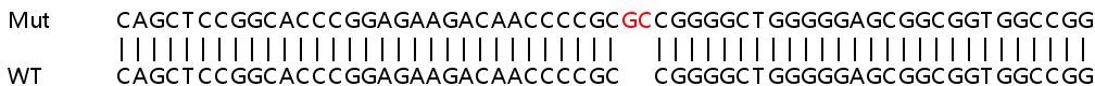 Sanger Sequencing - Human MGEA5 (OGA) knockout HeLa cell line (AB265821), expandable thumbnail