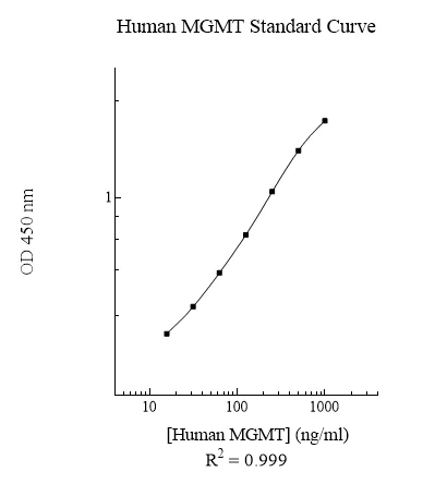 Sandwich ELISA - Human MGMT ELISA Kit (AB284030)