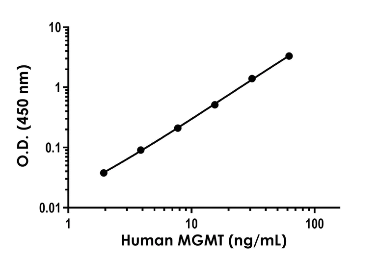 Sandwich ELISA - Human MGMT ELISA Kit (AB320053)