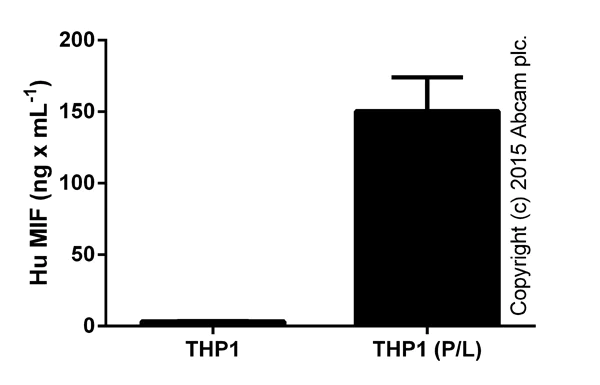 ELISA - Human MIF ELISA Kit (AB100594)