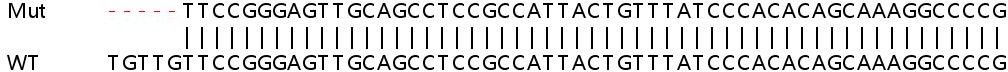 Human MKRN1 knockout HEK-293T cell line