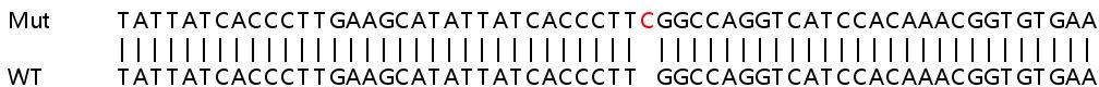Sanger Sequencing - Human MLKL knockout HeLa cell lysate (AB263788), expandable thumbnail