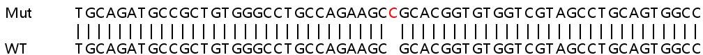 Sanger Sequencing - Human MLST8 (G protein beta subunit like/GBL) knockout HCT116 cell lysate (AB258965)