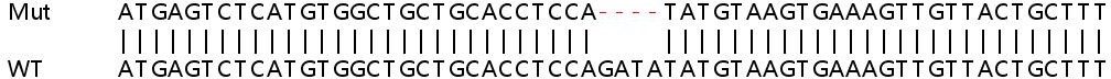 Sanger Sequencing - Human MMADHC knockout HEK-293T cell lysate (AB258518)