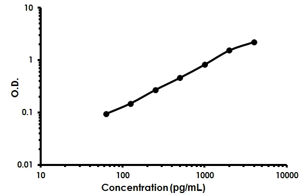 Sandwich ELISA - Human MMP-12 ELISA Kit (AB213811)