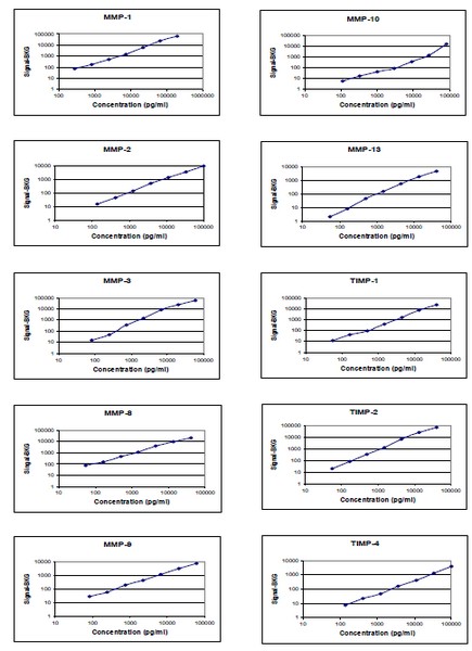 Multiplex Protein Detection - Human MMP Antibody Array (10 Targets) - Quantitative (AB197453), expandable thumbnail