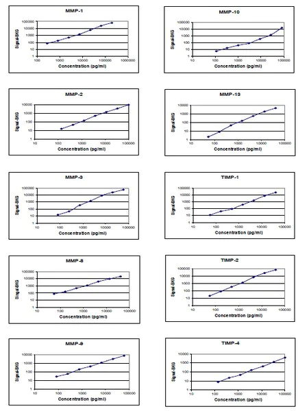 Multiplex Protein Detection - Human MMP Antibody Array (10 Targets) - Quantitative (AB197453)