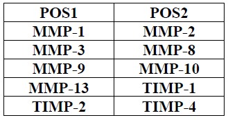Multiplex Protein Detection - Human MMP Antibody Array (10 Targets) - Quantitative (AB197453), expandable thumbnail