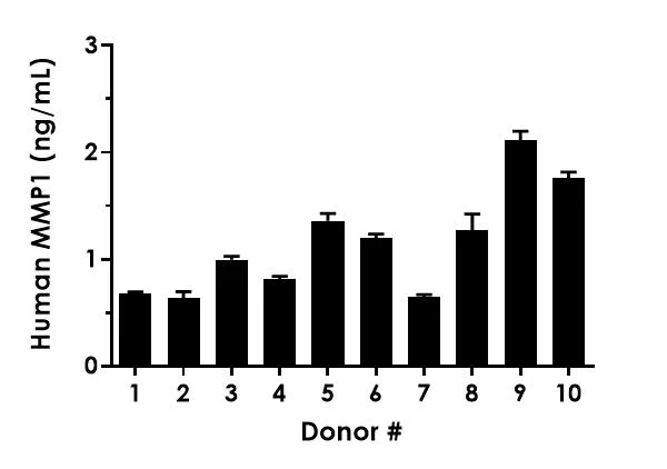 Sandwich ELISA - Human MMP1 ELISA Kit (AB215083)