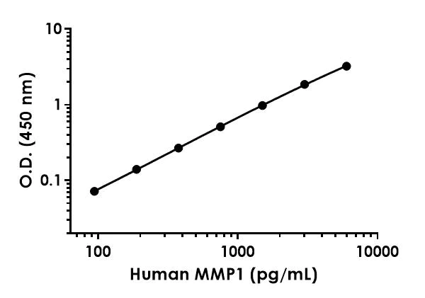 Sandwich ELISA - Human MMP1 ELISA Kit (AB215083)