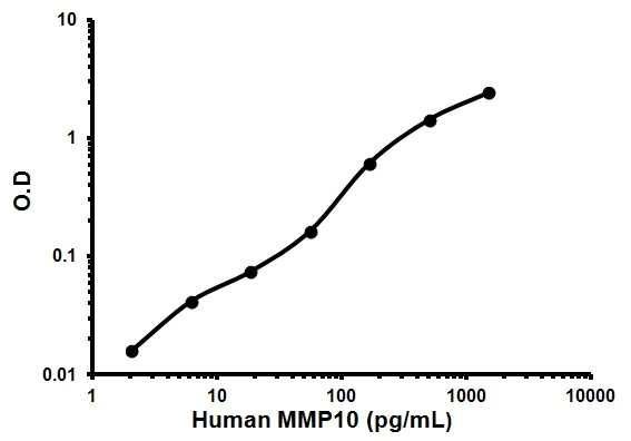 Sandwich ELISA - Human MMP10 ELISA Kit (AB100602)
