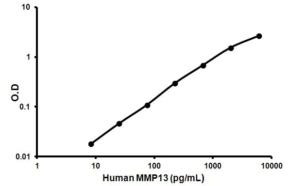 Sandwich ELISA - Human MMP13 ELISA Kit (AB100605)