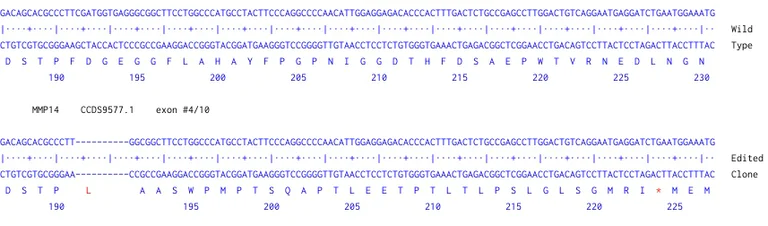 Next Generation Sequencing - Human MMP14 knockout A-431 cell line (AB261890)