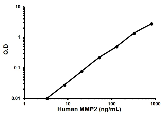 Sandwich ELISA - Human MMP2 ELISA Kit (AB100606)