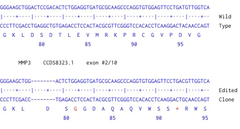 Next Generation Sequencing - Human MMP3 knockout U-87 MG cell line (AB306727)