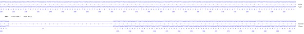 Next Generation Sequencing - Human MMP9 knockout HCT116 cell line (AB286711), expandable thumbnail