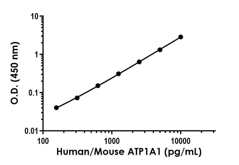 Sandwich ELISA - Human/Mouse alpha 1 Sodium Potassium ATPase (ATP1A1) ELISA Kit - Extracellular (AB324503)