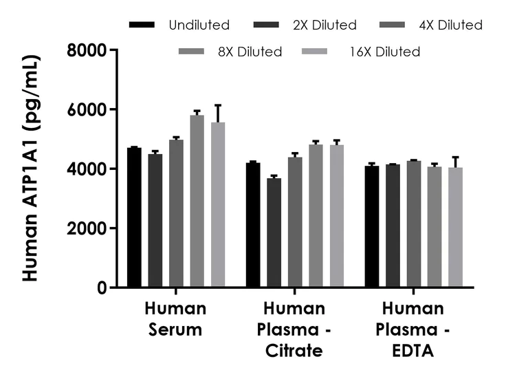 Sandwich ELISA - Human/Mouse alpha 1 Sodium Potassium ATPase (ATP1A1) ELISA Kit - Extracellular (AB324503)