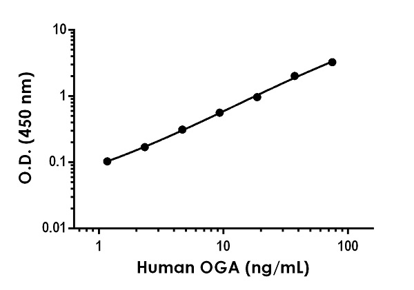 Sandwich ELISA - Human/Mouse MGEA5/OGA Antibody Pair - BSA and Azide free (AB270383)