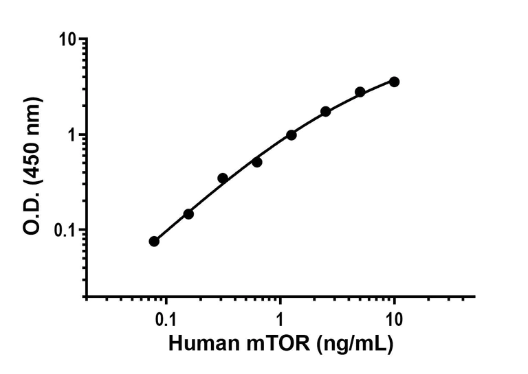 Sandwich ELISA - Human/Mouse mTOR Antibody Pair - BSA and Azide free (AB241756)