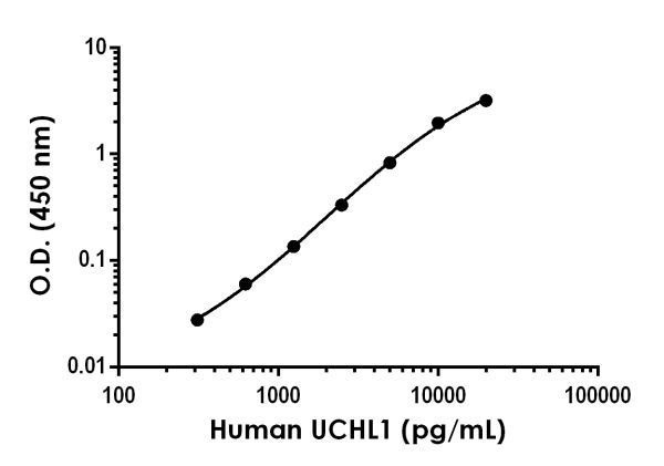 Sandwich ELISA - Human/Mouse PGP9.5 Antibody Pair - BSA and Azide free (AB244190), expandable thumbnail