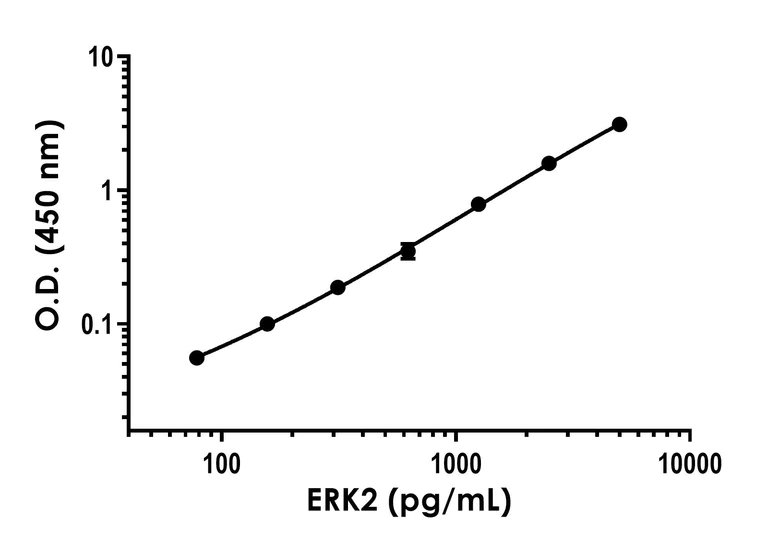 Sandwich ELISA - Human/Mouse /Rat ERK2 ELISA Kit (AB317550)