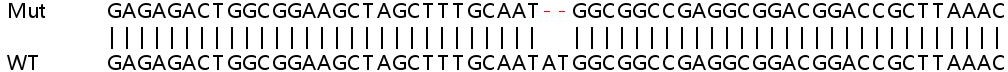 Sanger Sequencing - Human MPDU1 (SL15) knockout HEK-293T cell lysate (AB258968), expandable thumbnail