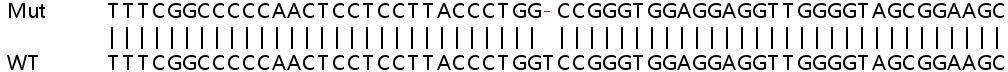 Sanger Sequencing - Human MPLKIP (TTDN1) knockout HeLa cell line (AB264878)