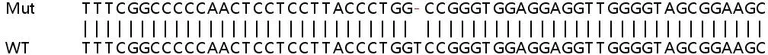 Sanger Sequencing - Human MPLKIP (TTDN1) knockout HeLa cell lysate (AB258050)