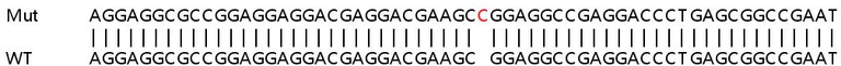 Sanger Sequencing - Human MPND knockout HeLa cell lysate (AB263254)