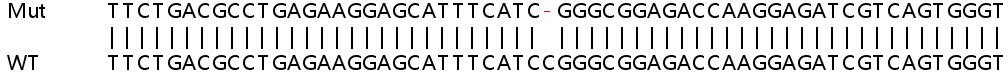 Sanger Sequencing - Human MPRIP knockout HeLa cell line (AB265805), expandable thumbnail