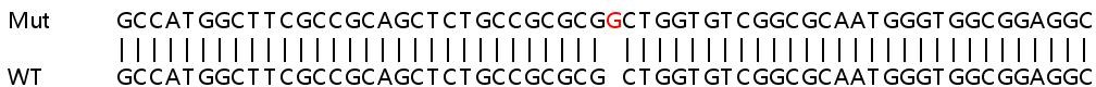 Sanger Sequencing - Human MPST (MST) knockout HEK-293T cell lysate (AB258524), expandable thumbnail