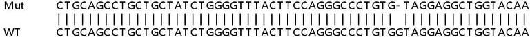 Sanger Sequencing - Human MPV17 knockout HeLa cell lysate (AB258970)