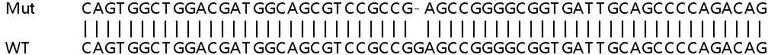 Sanger Sequencing - Human MPZL1 (MPZL) knockout HeLa cell line (AB265332)