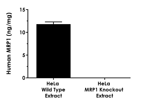 Sandwich ELISA - Human MRP1 ELISA Kit (ABCC1) (AB272211), expandable thumbnail