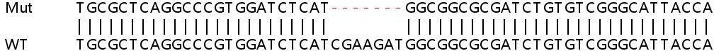 Sanger Sequencing - Human MRPL50 knockout HEK-293T cell lysate (AB263258), expandable thumbnail