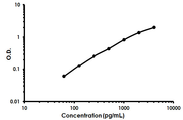 Sandwich ELISA - Human MS2 ELISA Kit (AB213750)