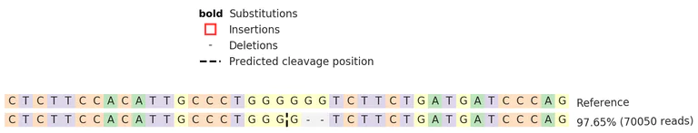 Next Generation Sequencing - Human MS4A1 (CD20) knockout Raji cell line (AB273871)