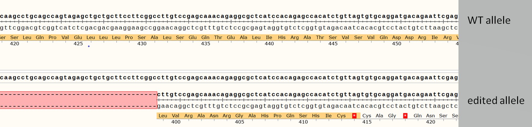 Human MSH3 knockout A549 cell line