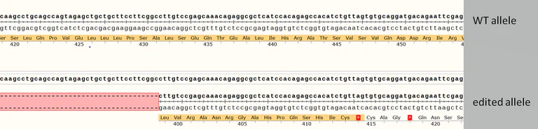 Next Generation Sequencing - Human MSH3 knockout A549 cell line (AB288875)