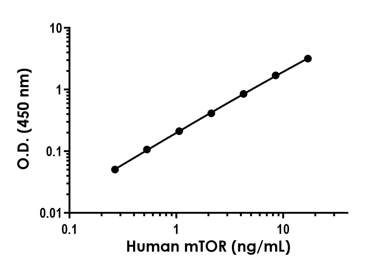 Sandwich ELISA - Human mTOR ELISA Kit- Extracellular (AB322369), expandable thumbnail